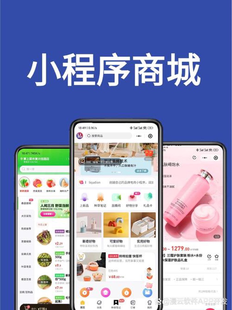 小程序开发：打造移动时代的‘轻骑兵’